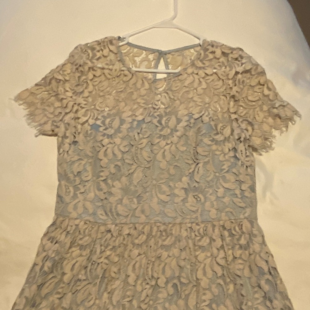 Eliza J  Ecru and Light Blue Lace Dress